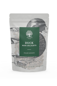 Essential Duck Mini Delights