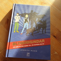 Blygerhundar - så gör du din hund till en superhjält!