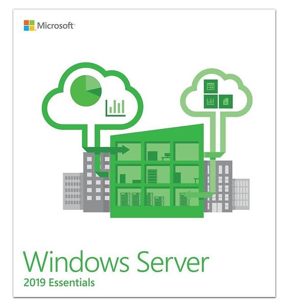 Microsoft Windows Server 2019 Essentials