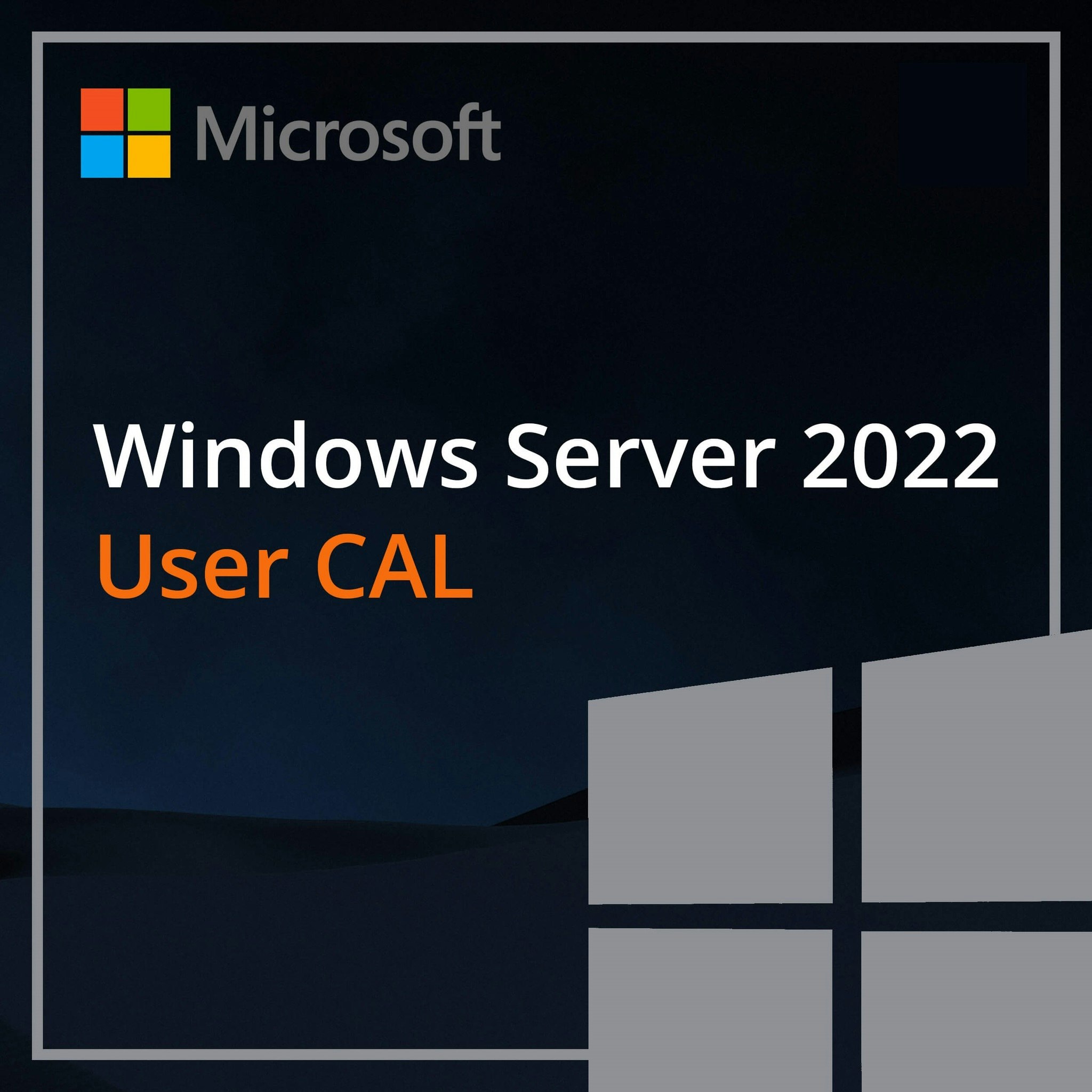 Microsoft Windows Server 2022 - User CALs