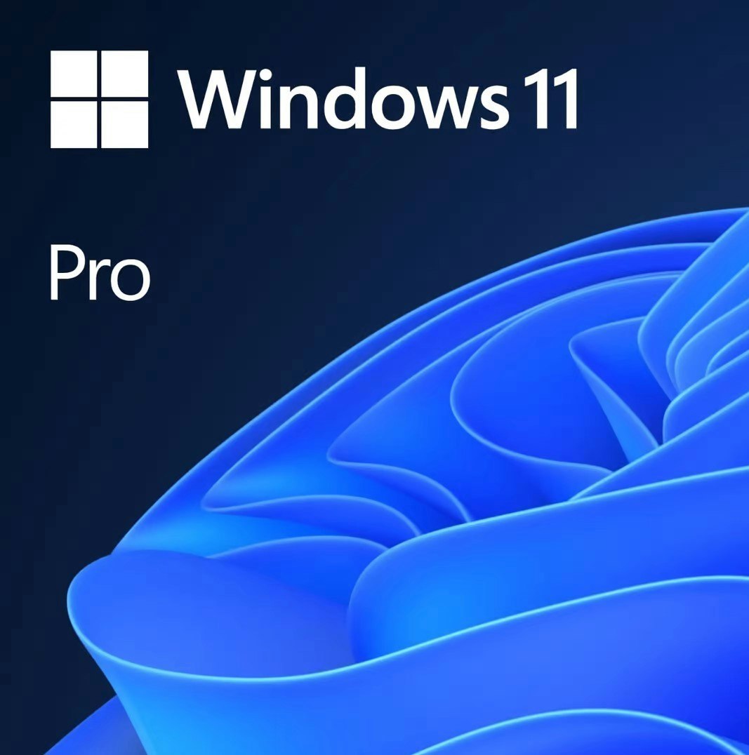 Microsoft Windows 11 Pro (OEM DVD) Engelska