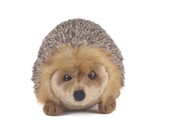 Living nature- Hedgehog Medium/gosedjur