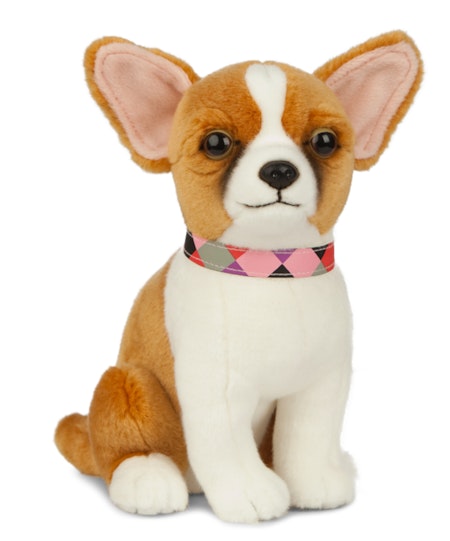 Living Nature- Chihuahua/gosedjur