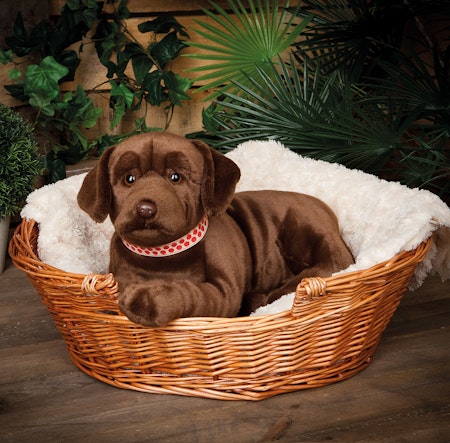 Living Nature- Giant Chocolate Lab/gosedjur