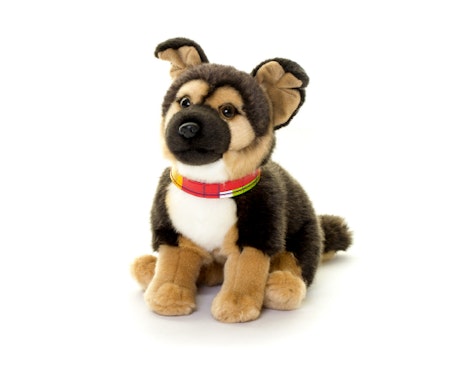 Living nature-  Giant German Shepherd Puppy/gosdjur