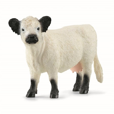 Schleich- Galloway Cow/djur