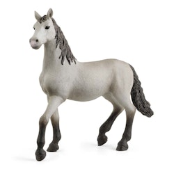 Schleich Pura Raza Espanola Young Horse/ Pura Raza Española-unghäst