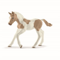 Schleich Paint Horse Foal/ Paintföl