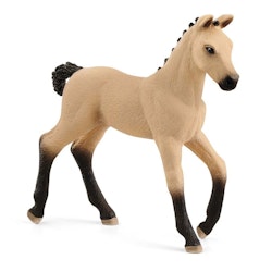 Schleich Hannoverian Foal Red Dun/ hannoveraner-föl