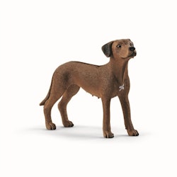 Schleich Farm world Rhodesian Ridgeback