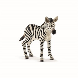 Schleich Wild Zebra foal  / Zebraföl