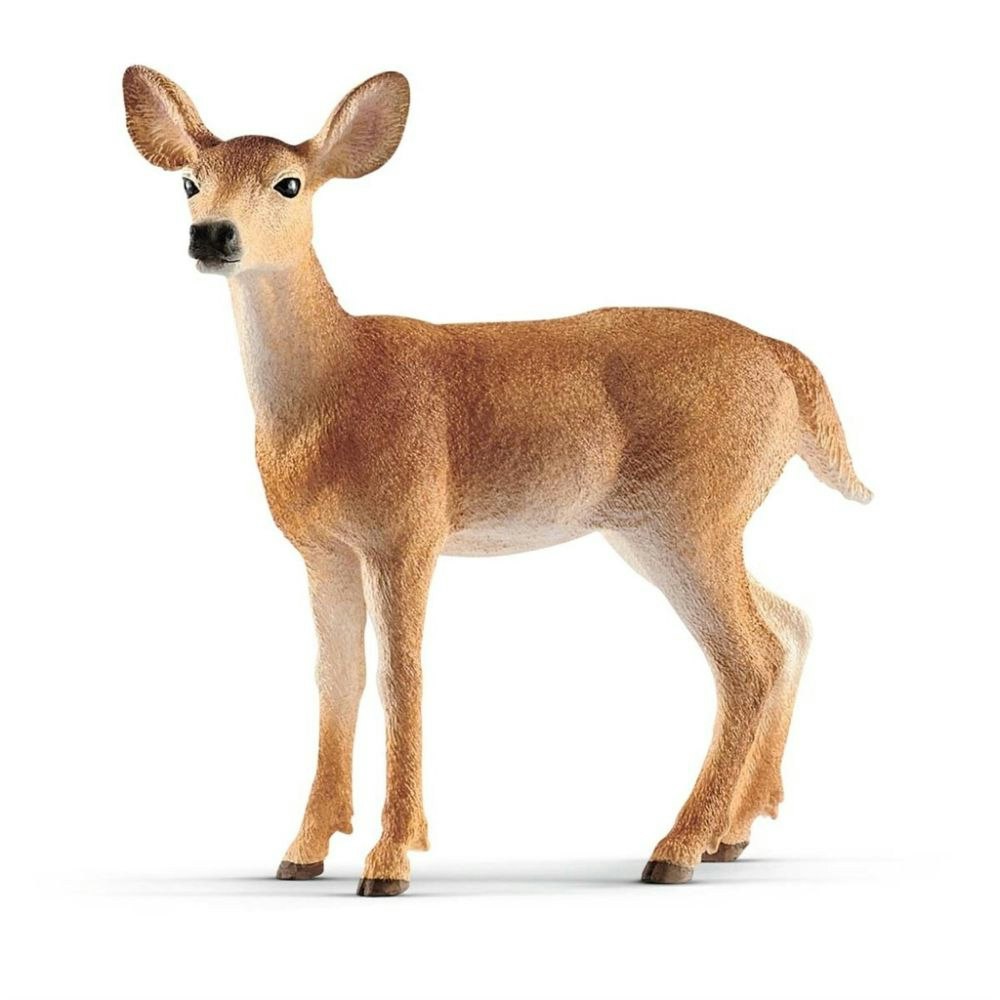 Schleich Wild White-Tailed Doe  / Vitsvansat rådjur