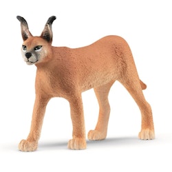 Schleich Caracal female / ökenlohona