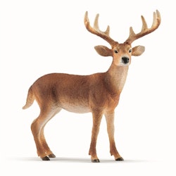 Schleich Wild Life White-Tailed Buck / Vitsvanshjorta