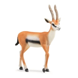 Schleich Wild Life Gazelle / thomsongasellen