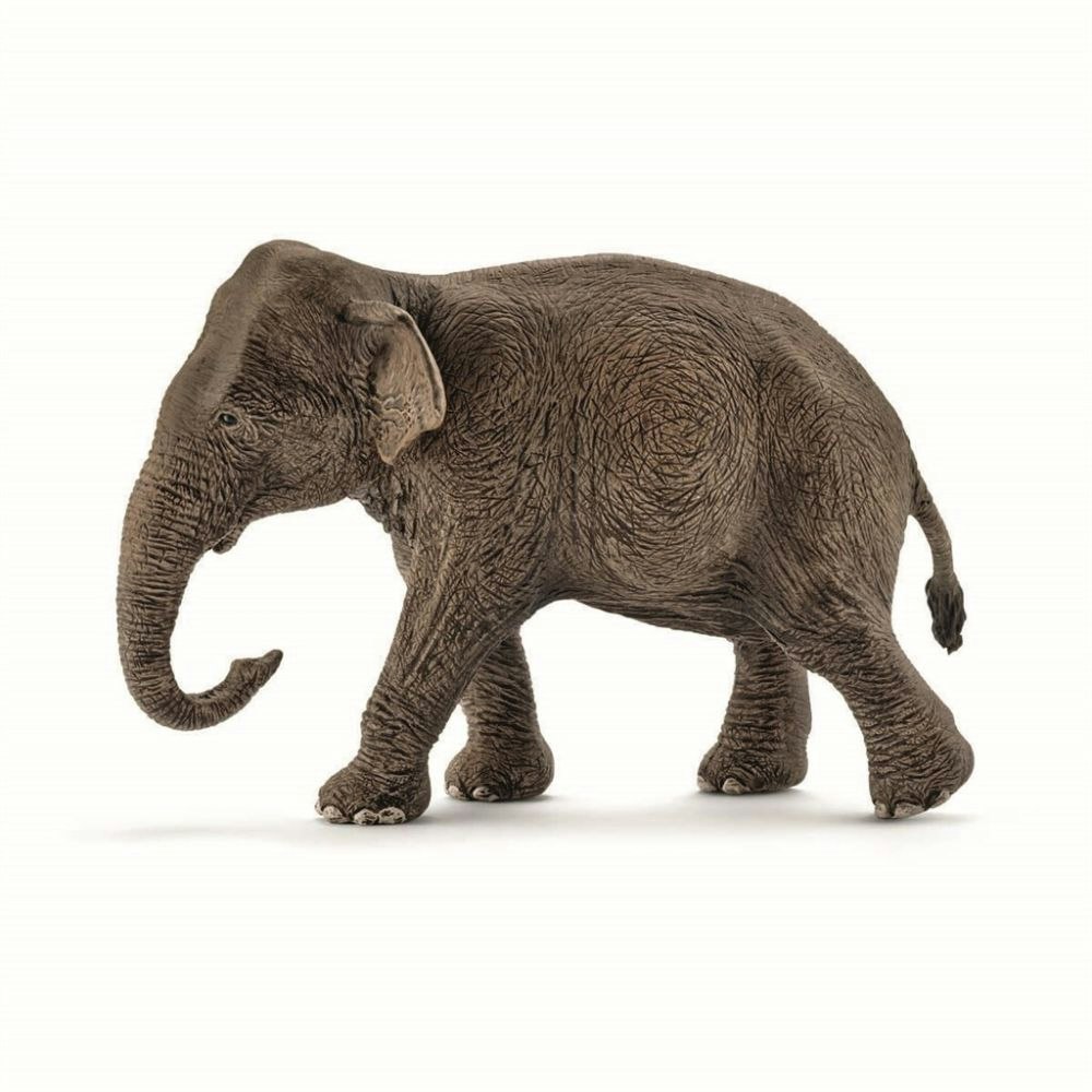 Schleich Wild Life Asian elephant, female / elefanthona