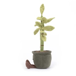 Jellycat-  Potted Bamboo/ Amuseable