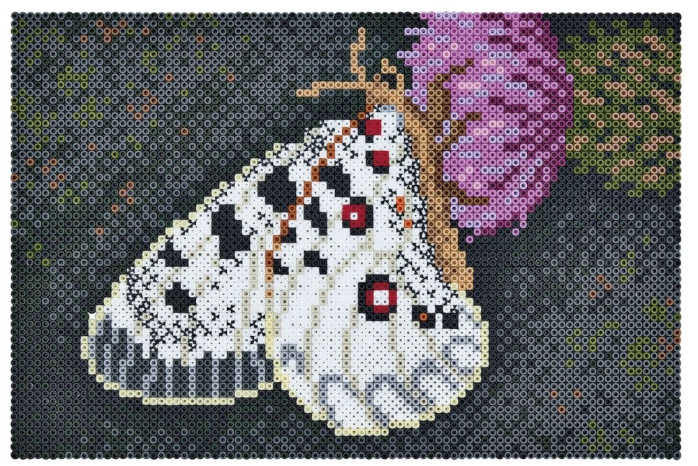 Hama Midi Art Butterfly 10000 pcs.