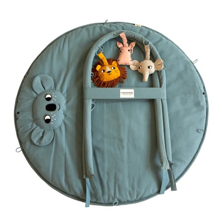 Roommate- Koala/ babygym