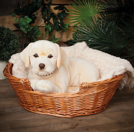 Living Nature- Giant Golden Lab/gosedjur