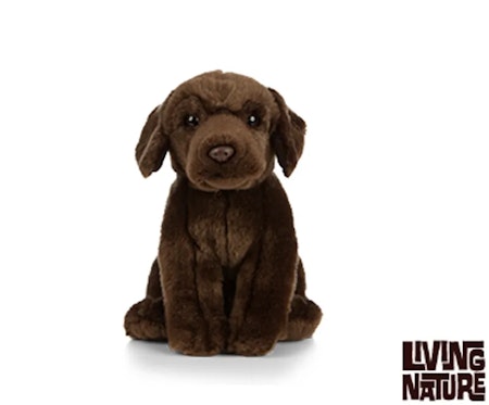 Living Nature- Chocolate Labrador/ gosedjur
