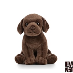 Living Nature- Chocolate Labrador Puppy/ gosedjur