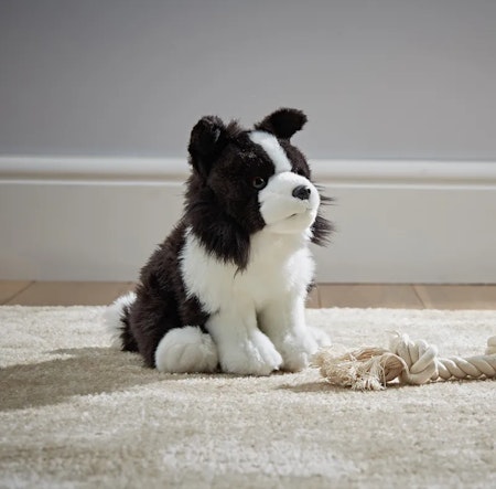Living Nature- Border Collie / gosedjur