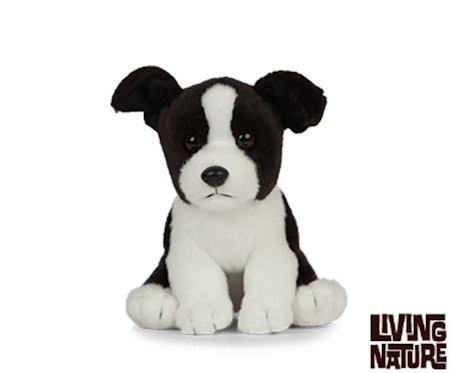 Living Nature- Border Collie Puppy/ gosedjur