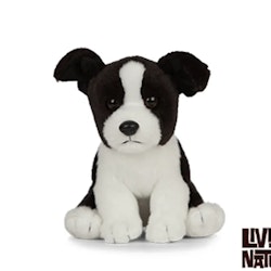 Living Nature- Border Collie Puppy/ gosedjur