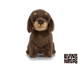 Living Nature- Dachshund Puppy/ gosedjur