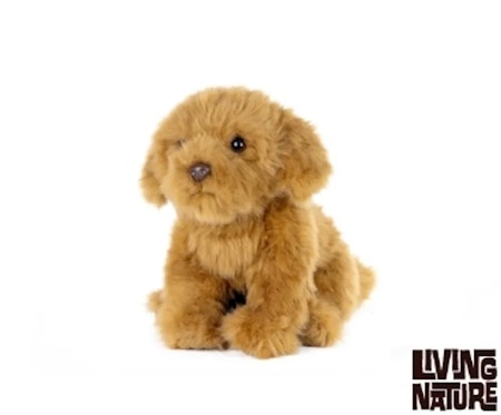 Living Nature- Cavapoo/ gosedjur