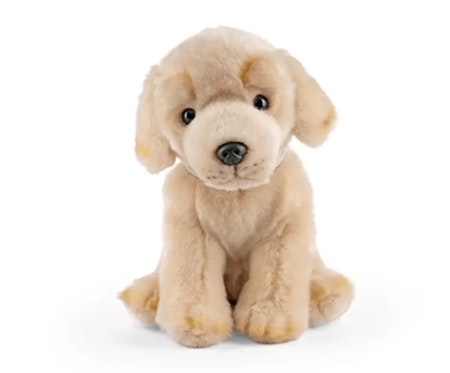 Living Nature- Golden Lab Puppy with Sound / gosedjur
