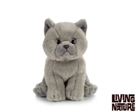 Living nature- British Grey Shorthair Kitten/gosedjur.
