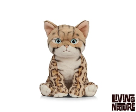 Living nature- Bengal Kitten /gosedjur.