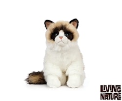 Living nature- Ragdoll Cat/gosedjur