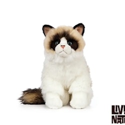 Living nature- Ragdoll Cat/gosedjur