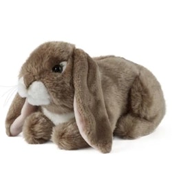Living nature- Dark Brown Lop Eared Rabbit/gosedjur