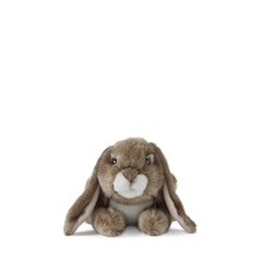 Living nature- Dark Brown Lop Eared Rabbit/gosedjur