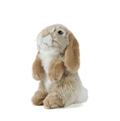 Living nature- Brown Sitting Lop Eared Rabbit/gosedjur