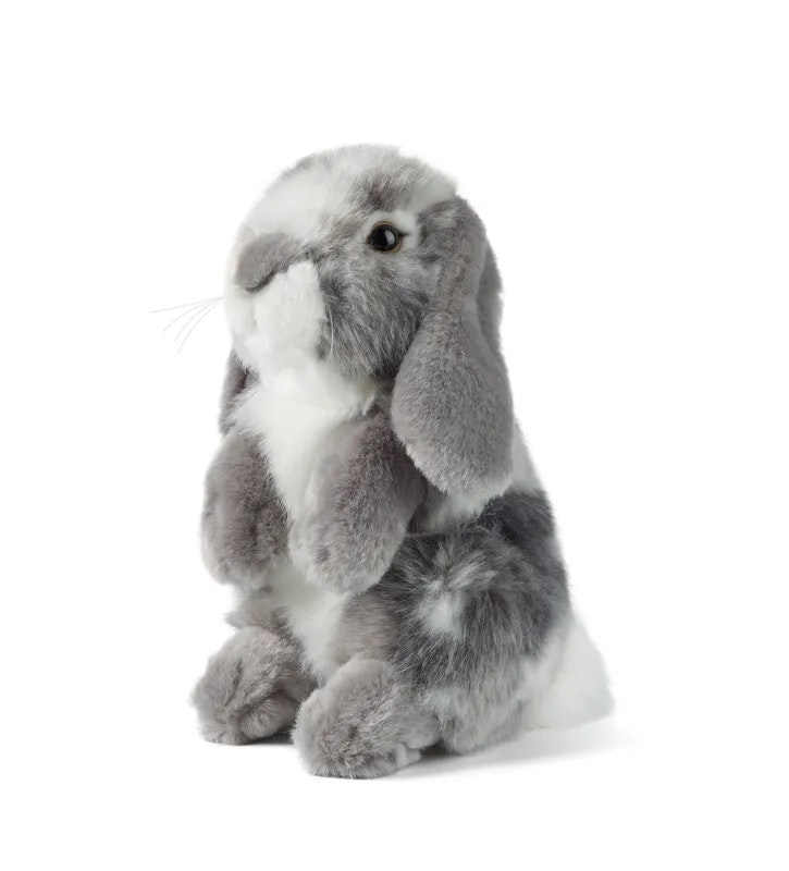 Living nature- Grey Sitting Lop Eared Rabbit/gosedjur