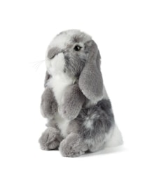 Living nature- Grey Sitting Lop Eared Rabbit/gosedjur