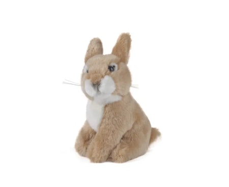 Living nature- Sitting Baby Rabbit/gosedjur