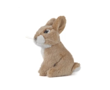 Living nature- Sitting Baby Rabbit/gosedjur