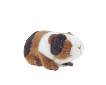 Living nature -Guinea Pig Small /gosedjur