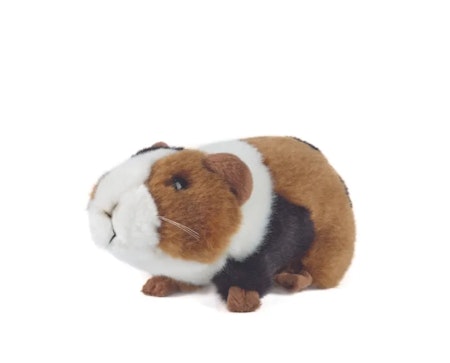 Living nature -Guinea Pig Small /gosedjur