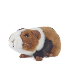 Living nature -Guinea Pig Small /gosedjur