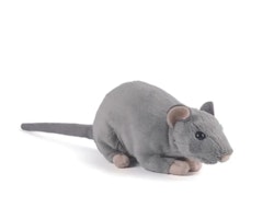 Living nature -Rat with Squeak/gosedjur