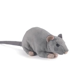 Living nature -Rat with Squeak/gosedjur