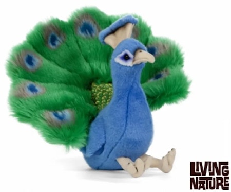 Living nature -Peacock/gosedjur