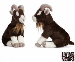 Living nature- Brown Goat Sitting/ gosedjur